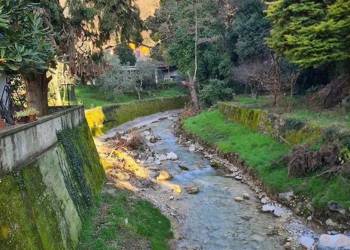 Apartman Seriola *